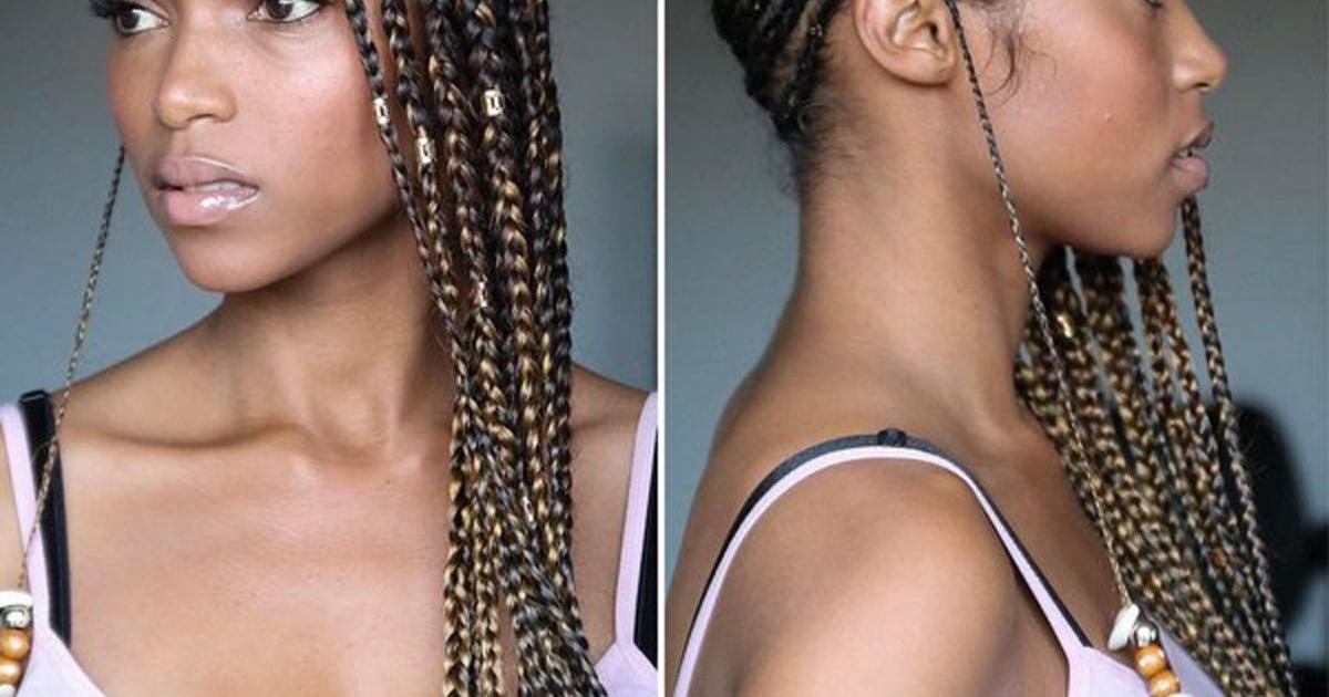 Explore the cane rows * | Features | trinidadexpress.com