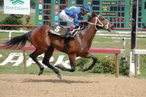 Gearing down to easy success | Local News | trinidadexpress.com