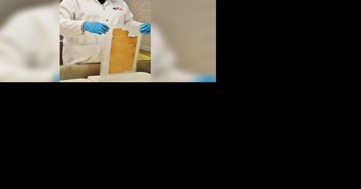 Nalis PAC Lab holds preservation workshops - Vimarsana News