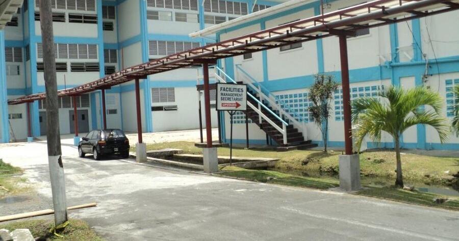 Pregnant woman jumps to her death in Guyana