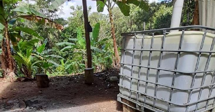 Massacre in Mayaro - 4 killed in 'land grab' location - Vimarsana News