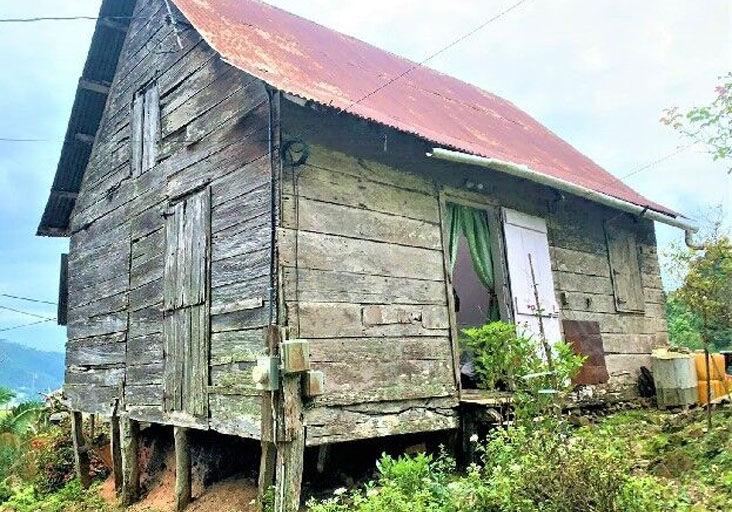 The precious Paramin house Features Local