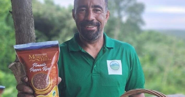 Magical Moruga: T&T's rice and culture go global