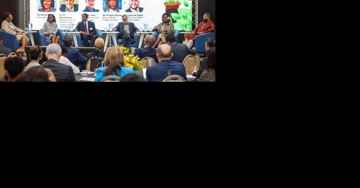 Green transition through Govt and private sector urged - Vimarsana News