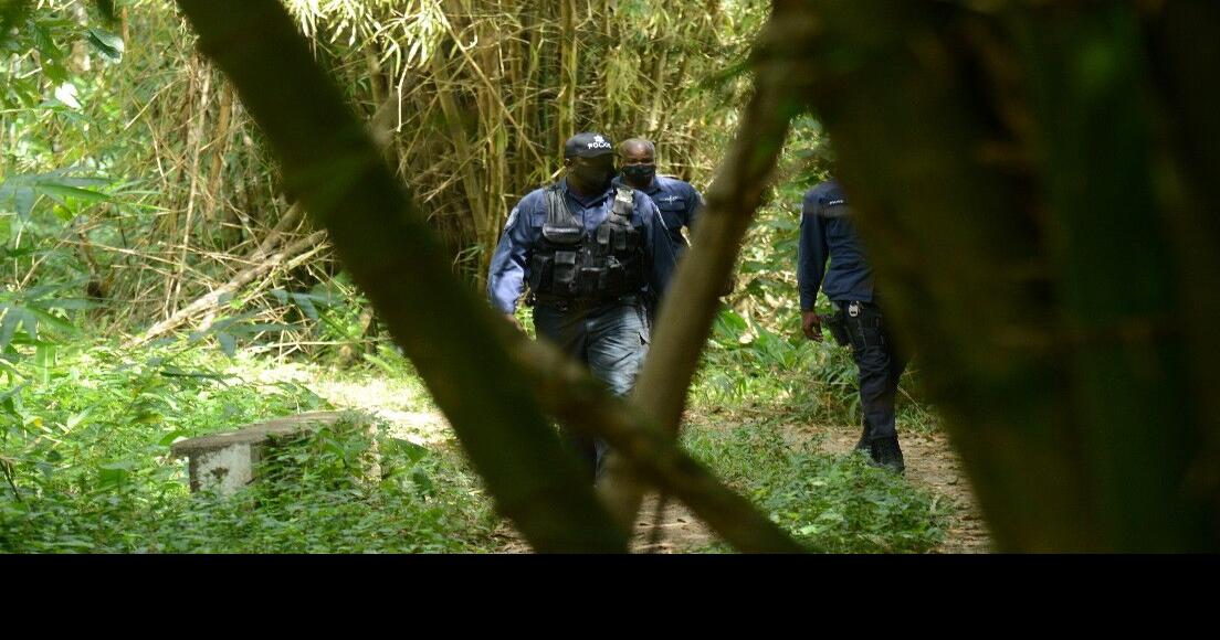 Hunters, hikers join the search for Andrea News Extra