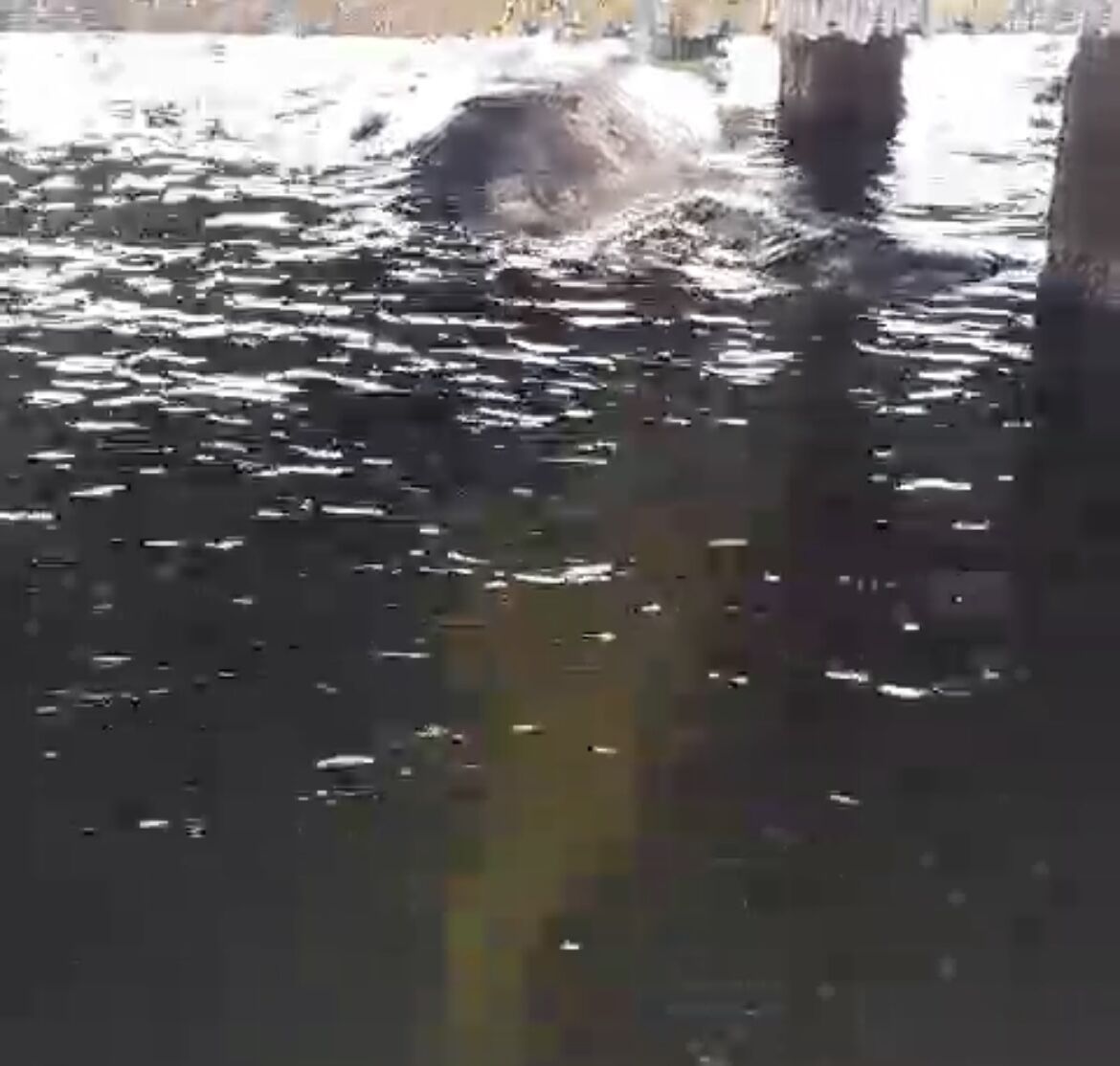 Nayanthara sex boobs Nayanthara sex video leaked out.