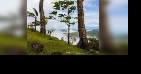 Death on the mountain - Vimarsana News