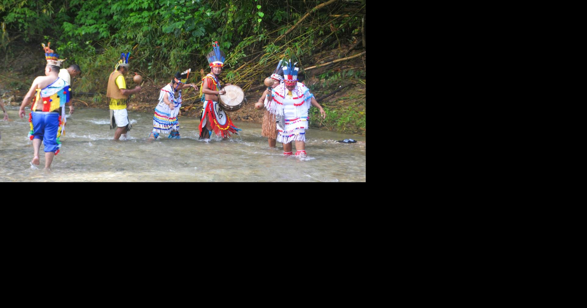Celebrating our indigenous avifauna