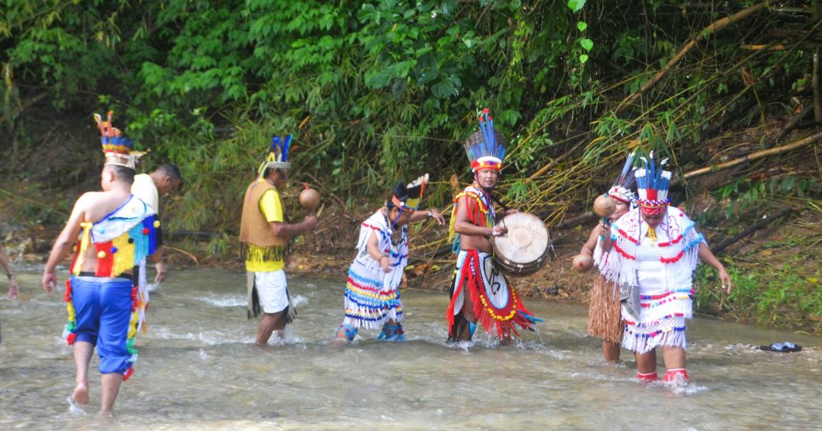 Celebrating our indigenous avifauna