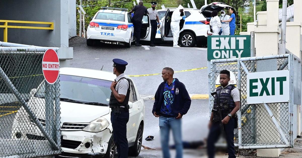 Guards kill suspect during robbery at Long Circular Mall