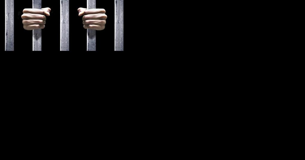 Two on wounding and gun charges denied bail - Vimarsana News