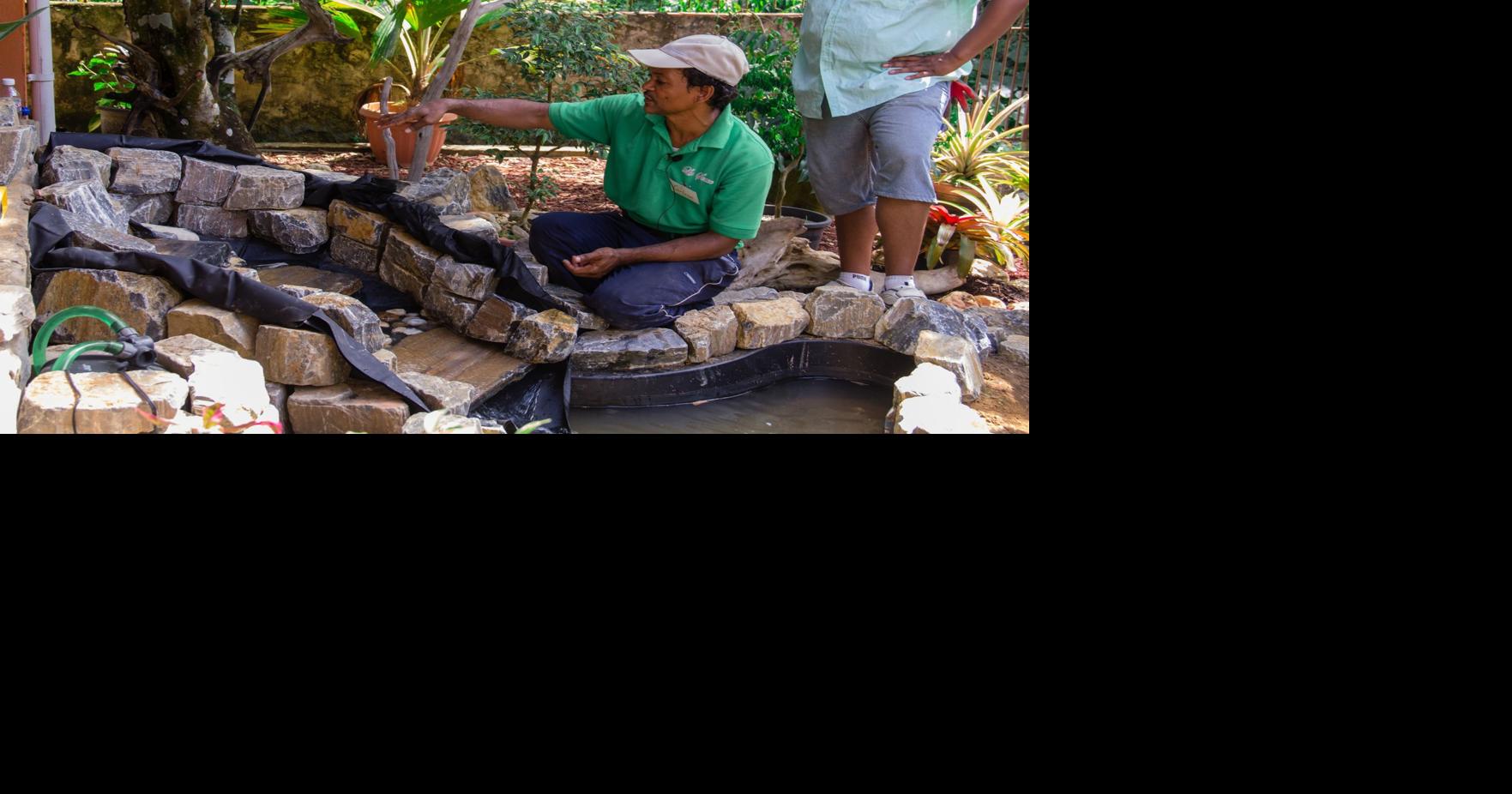 Learn to landscape - Workshop this weekend | Features Local ...