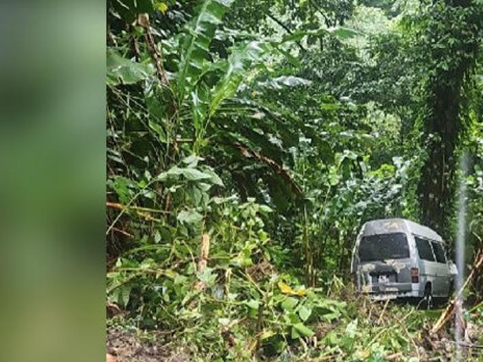 Woman killed as tree sends mini-bus over precipice on North ...