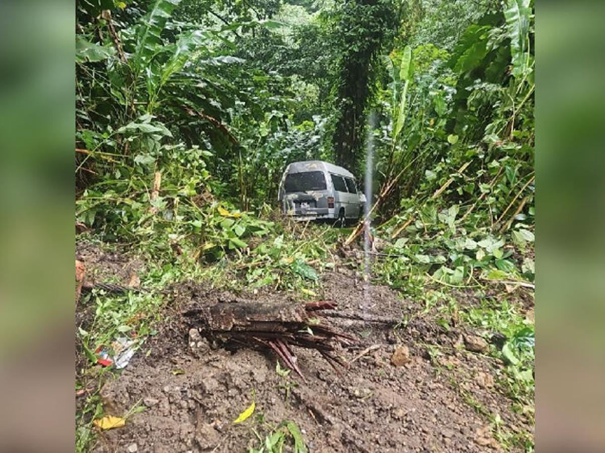 Woman killed as tree sends mini-bus over precipice on North ...