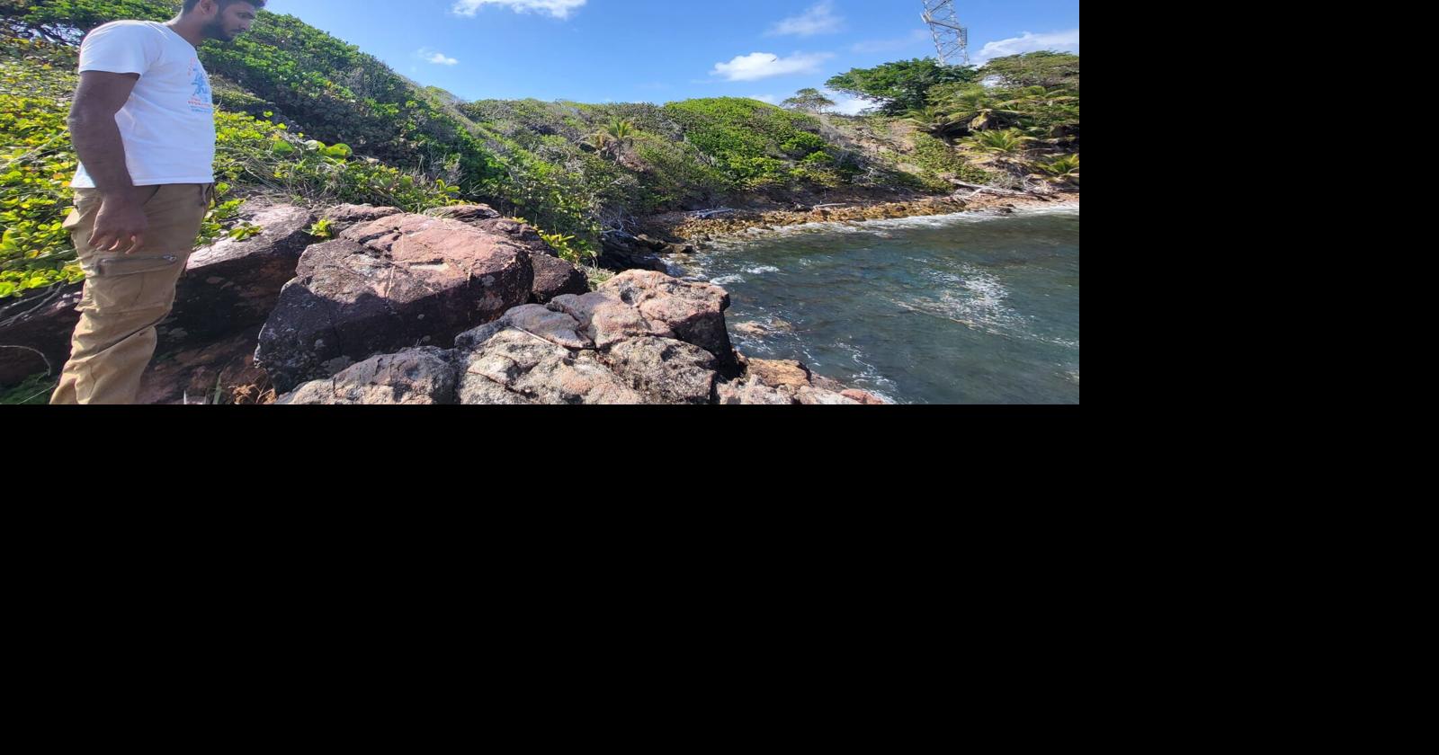 ‘Too much of our coastline is unmanaged’