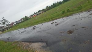 Cow dung on the roadway at Ackbar Trace