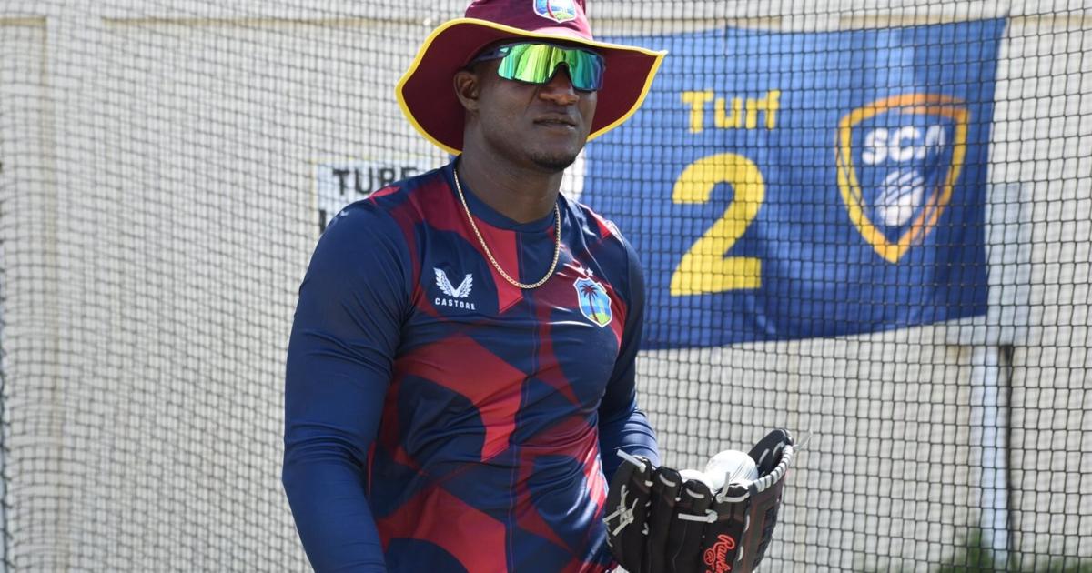 Sammy: Positive feedback
