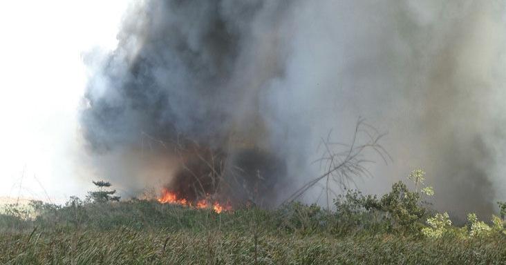 Farmers struggle as bushfires surge in T&T