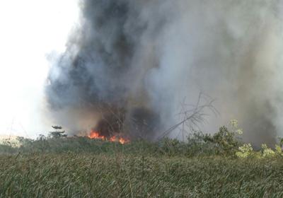 Bushfires surge as drought takes hold