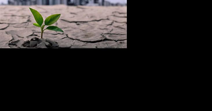 Addressing climate risk data gaps to support financial stability - Vimarsana News