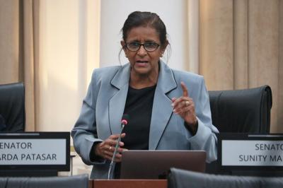 Ex-senator warns against ‘divide and rule’ politics