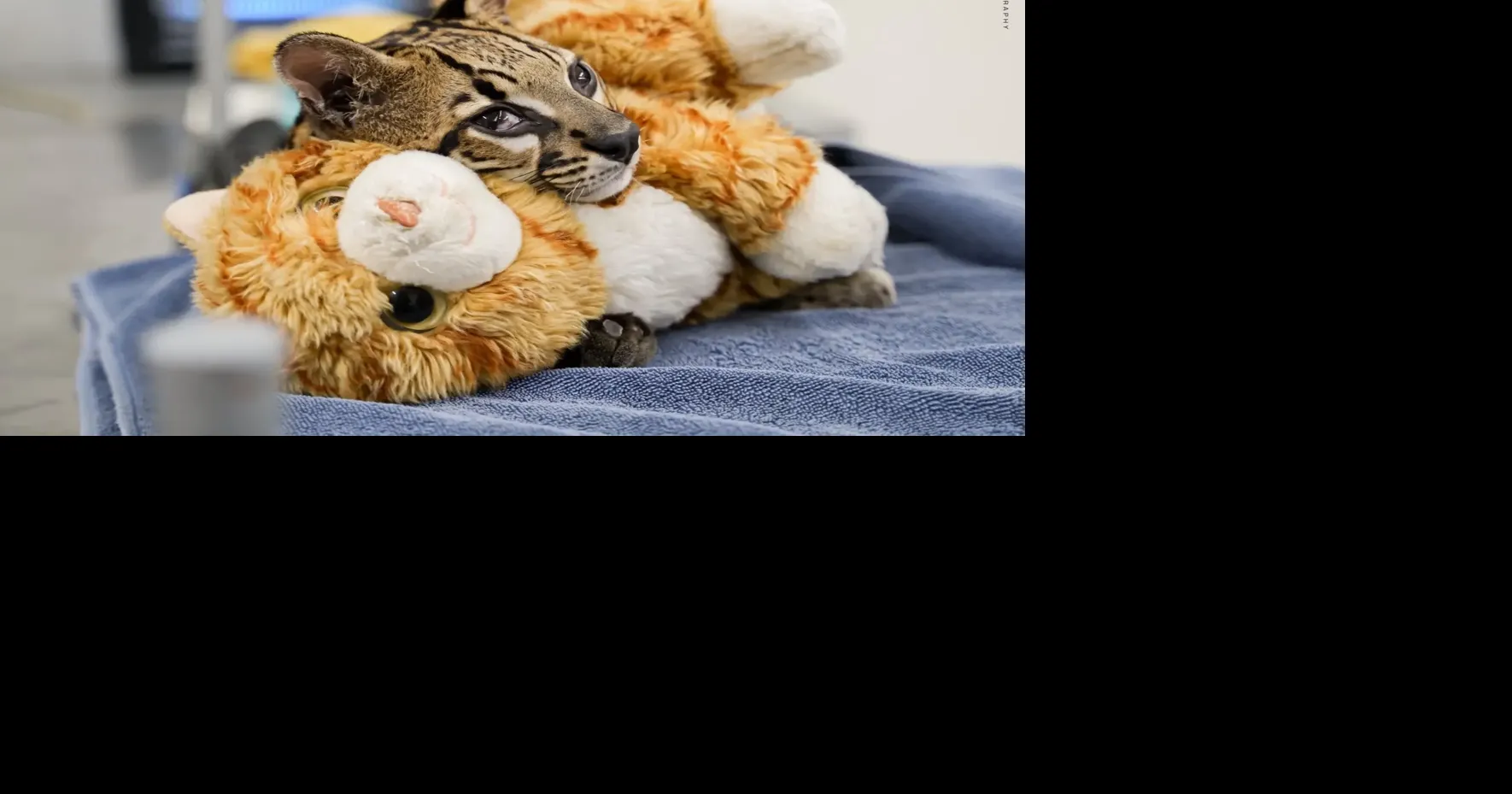 Papaoutai's road to recovery May 24, 2026 May 24, 2026 Updated 20 mins ago 2 min to read