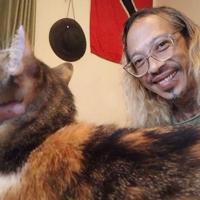 Artist’s body found in St James apartment