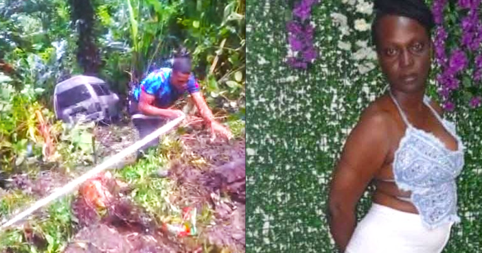 Woman dies as falling tree knocks vehicle off cliff