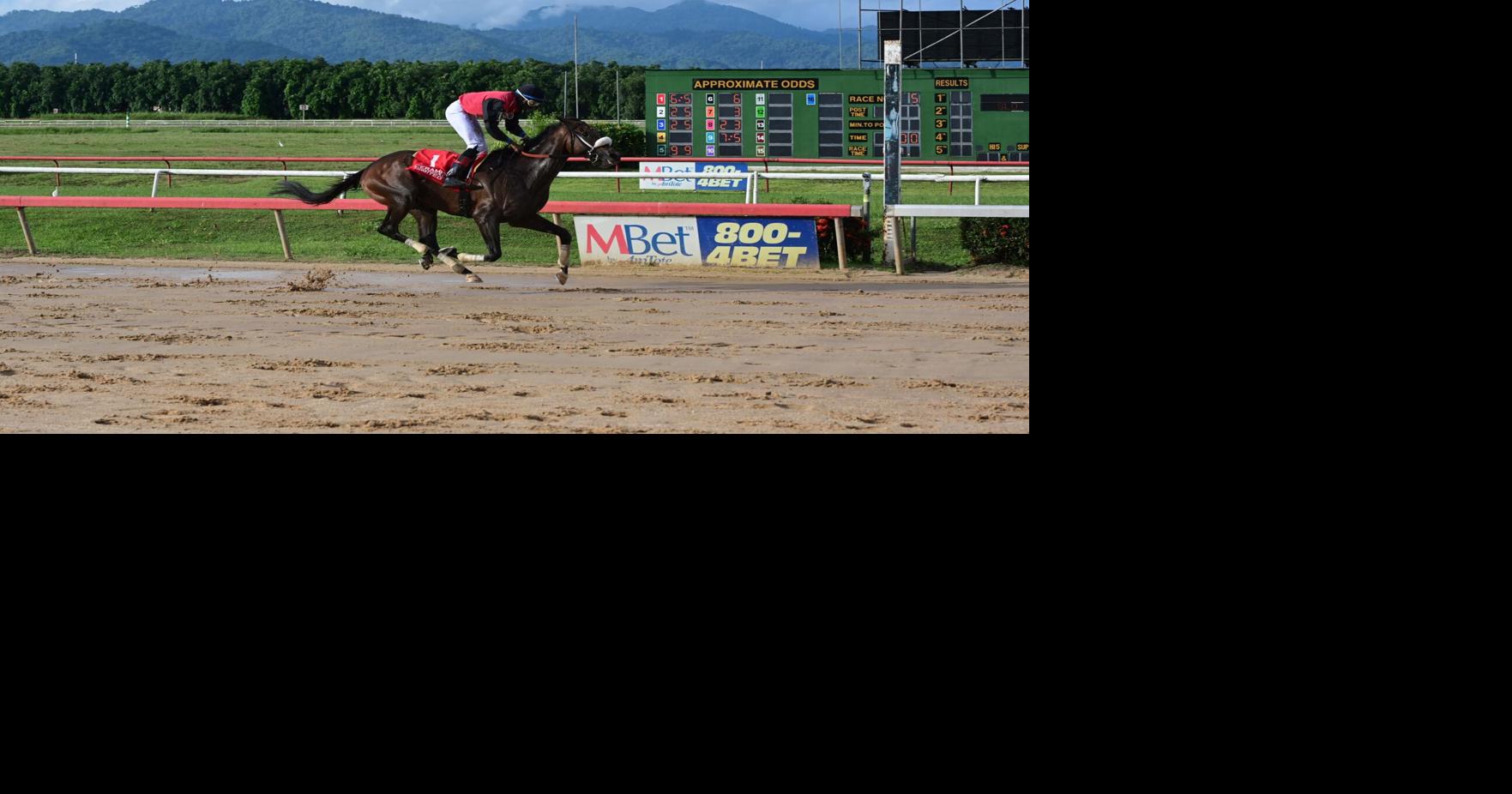 It’s Hello World in Stewards Cup