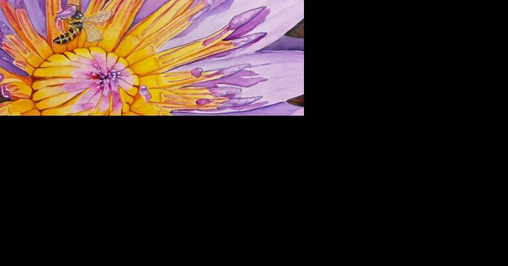 Experience 'Light' at Studio Joli | Features Local - Vimarsana News