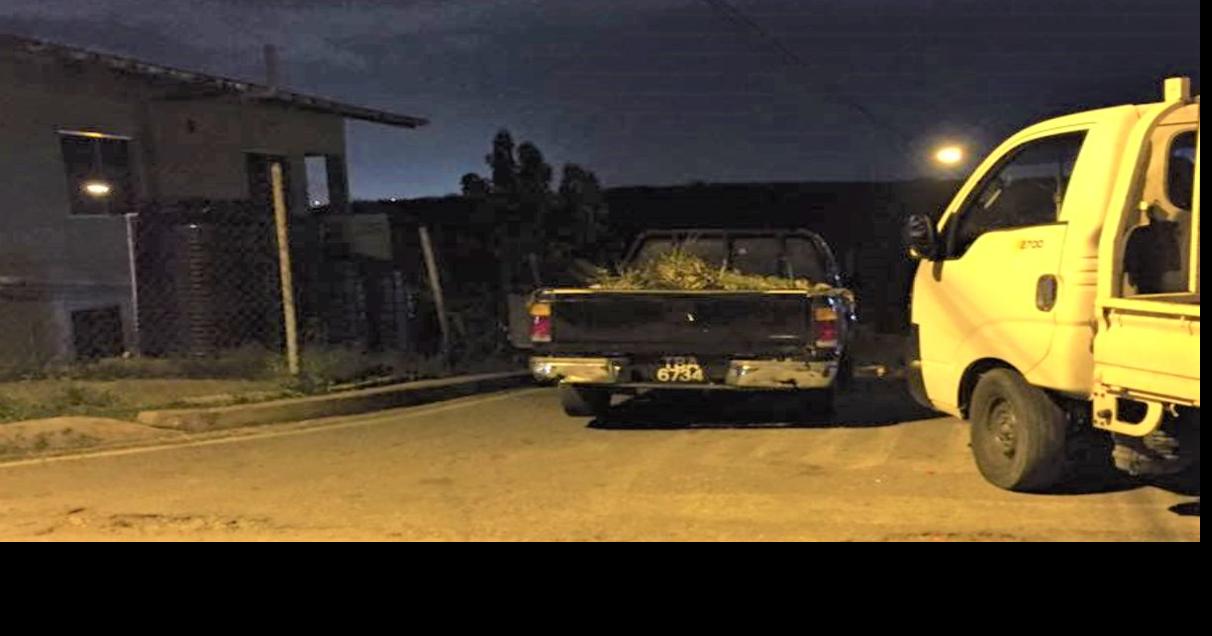 Coconut vendor shot dead on the way home Local News