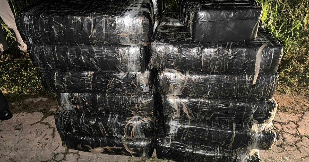 ‘Easier to take marijuana to destroy later’