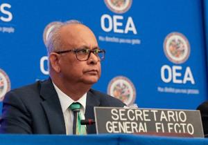 OAS launches collaboration with private sector