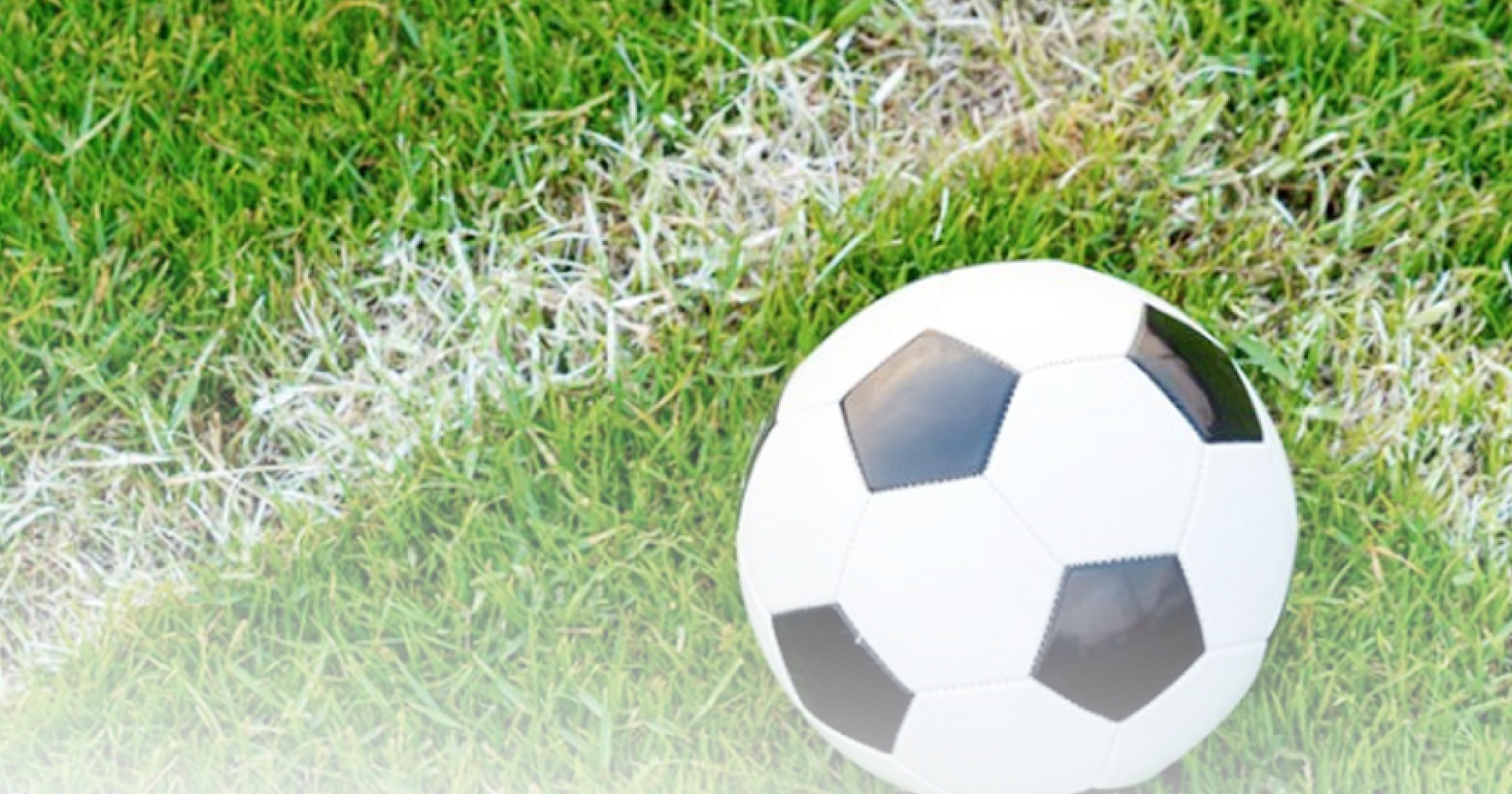 Brave effort, Soca Warriors - Vimarsana News