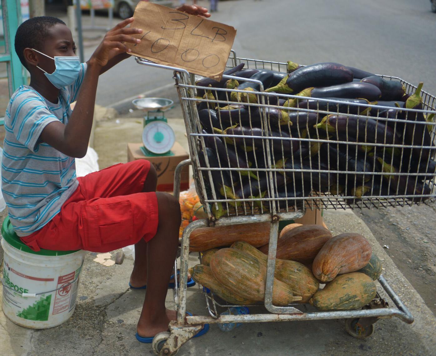 BAIGAN SALE .JPG