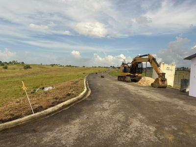 613 former Caroni workers to access cleared Petit Morne lands