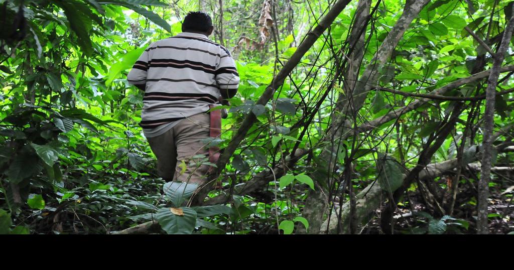 Island Hikers/ Fitness Walkers suspended...after death of hiker Local