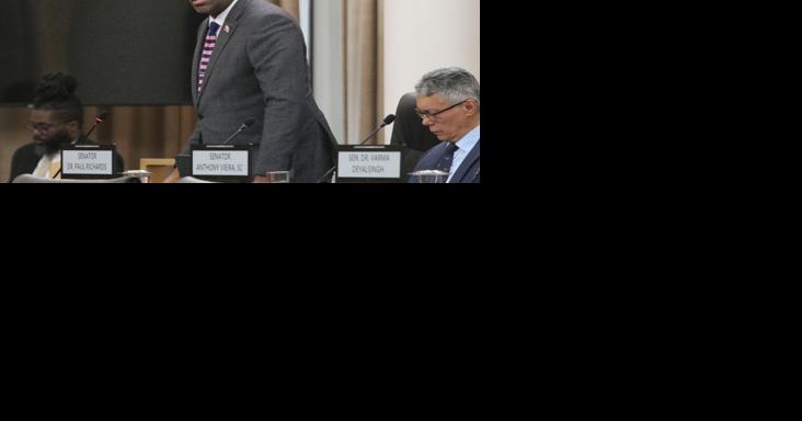 Senator Richards urges Caricom members: - Vimarsana News