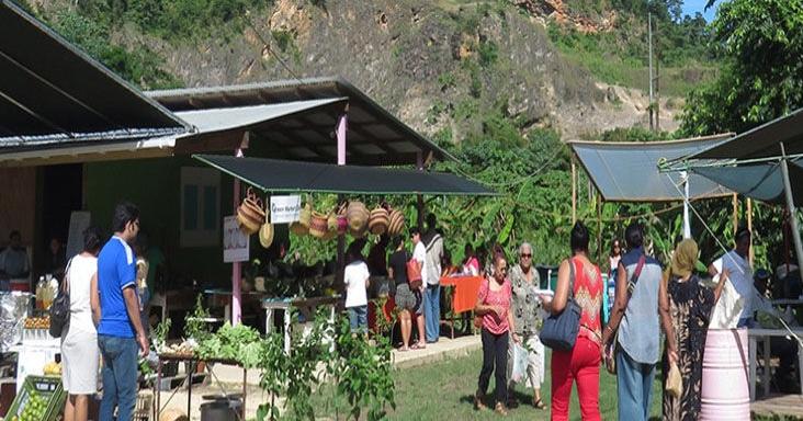 Green Market founder: It's like a novel, it came to an end | Local Business - Vimarsana News