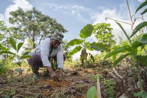 Seven ways to restore land