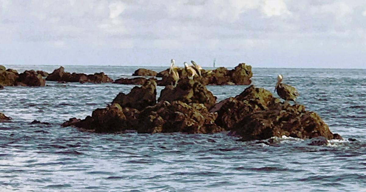 The perilous seas of Les Cailles