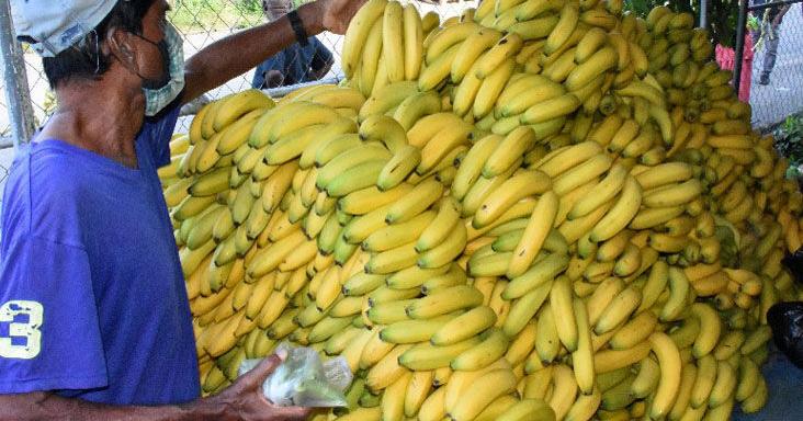 FAO wants 'a hand' | Features Local | trinidadexpress.com - Vimarsana News