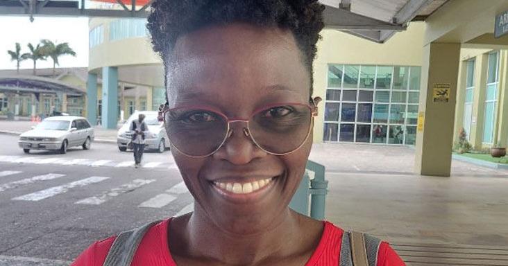 Travellers split over new online immigration system