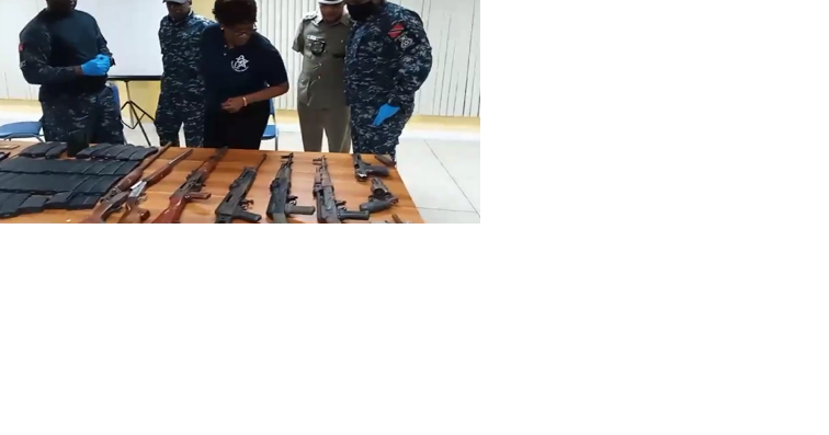 'Police' arsenal found in Santa Cruz forest - Vimarsana News