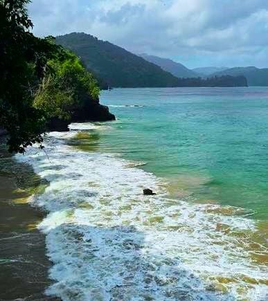Spear fisherman dies after becoming entangled at sea