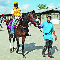 Japanese Resilience In Motion | Local News | trinidadexpress.com