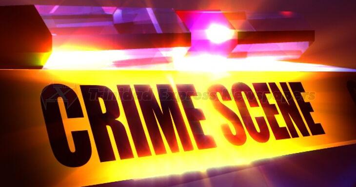 Real Estate agent loses $100,000 in apartment break-in