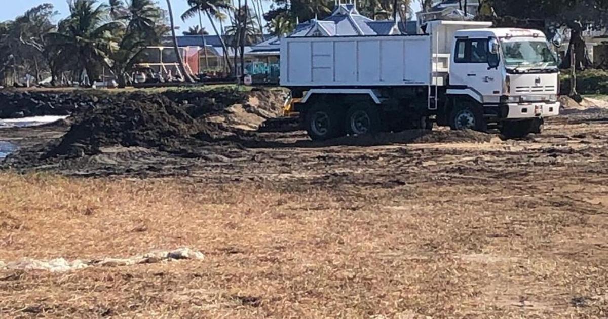 Search for Angelo moves to Studley Park Landfill