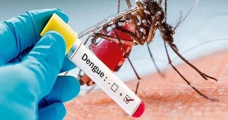 Dengue fever warning from Health Minister | News Extra