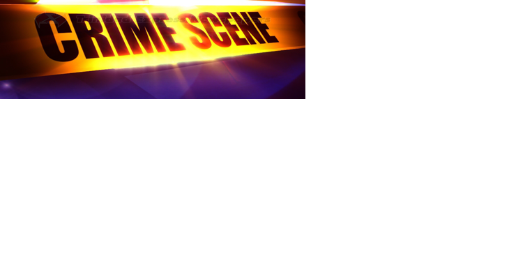 Girl, 13, shoots sister, 8 - Vimarsana News